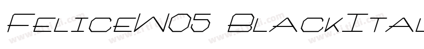 FeliceW05 BlackItali字体转换